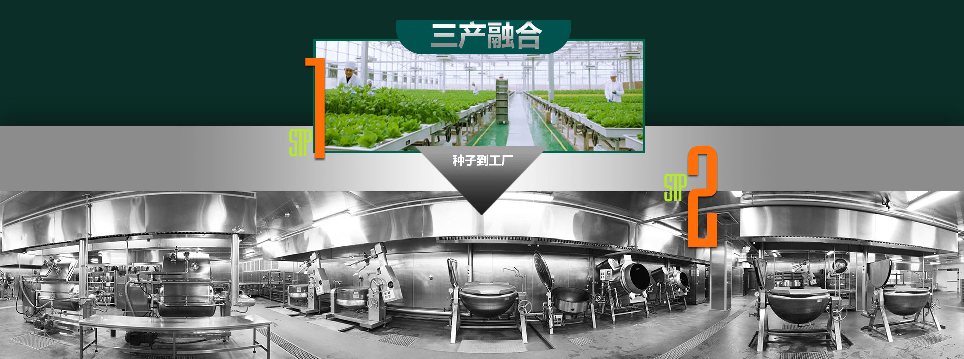 關(guān)于百斯特_03